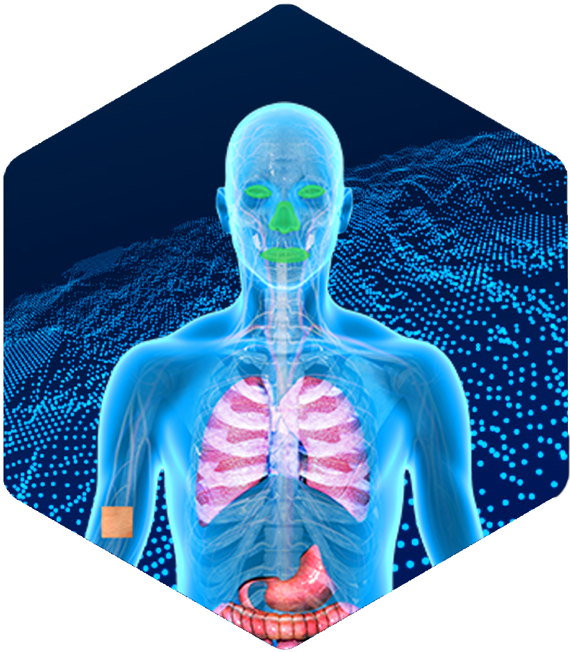 A GastroPlus 3D simulation showcases highlighted internal organs and systems on a dark backdrop.
