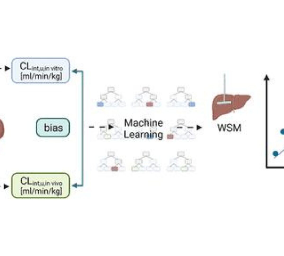 A Machine Learning Framework to Improve Rat Clearance Predictions and Inform Physiologically Based Pharmacokinetic Modeling