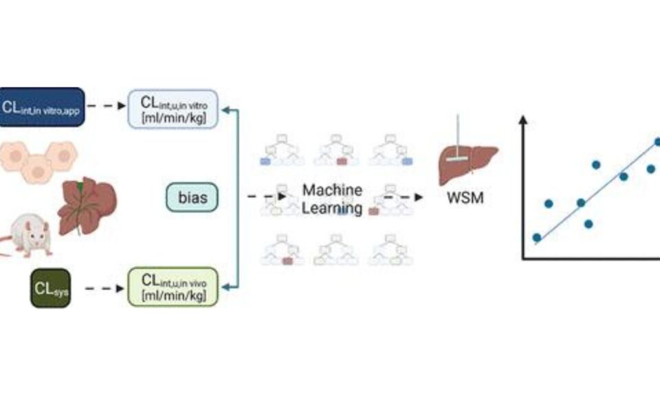 A Machine Learning Framework to Improve Rat Clearance Predictions and Inform Physiologically Based Pharmacokinetic Modeling