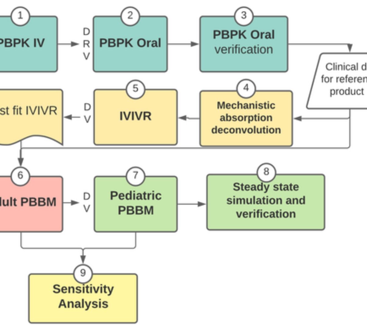 Adult and pediatric physiologically-based biopharmaceutics modeling to explain lamotrigine immediate release absorption process