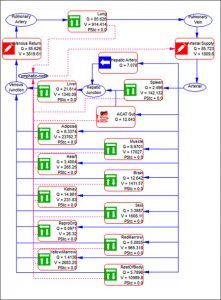 A detailed flowchart diagram representing the human body's blood circulation system—including organs like the lungs, liver, spleen, heart, and kidneys—features annotations, arrows, numerical values indicating blood flow dynamics and physiological functions with insights into the pharmacokinetics of biologics using Simulations Plus Inc.'s GastroPlus