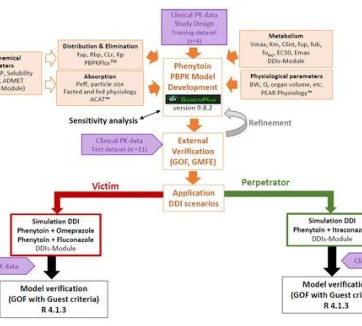 Comprehensive Physiologically Based Pharmacokinetic Model to Assess Drug–Drug Interactions of Phenytoin