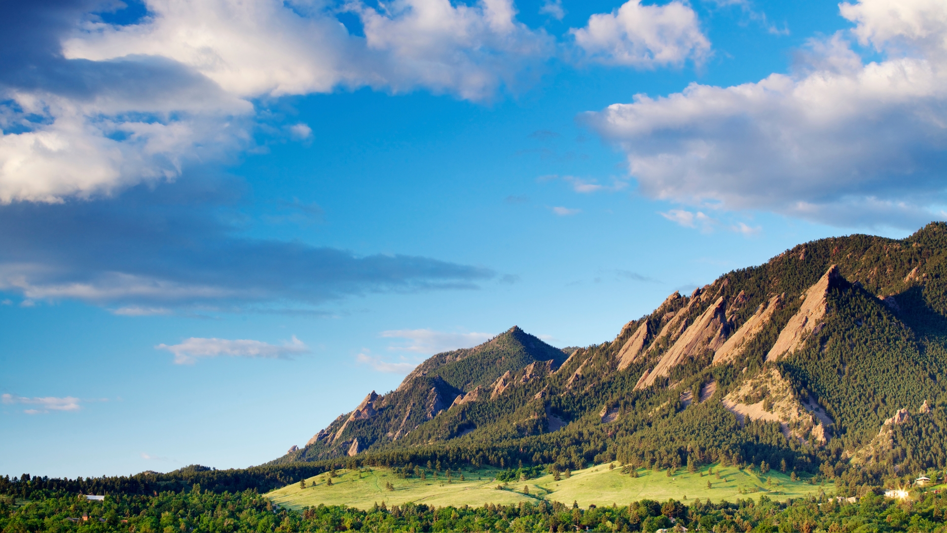 ASCPT 2026 Annual Meeting