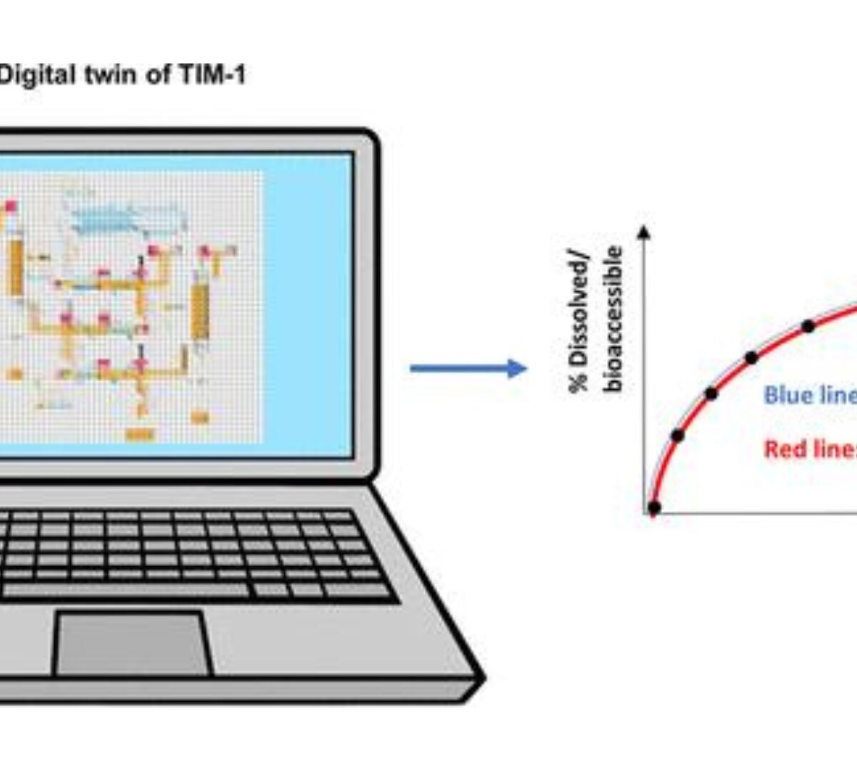 Digitalizing the TIM-1 Model Using Computational Approaches─Part Two: Digital TIM-1 Model in GastroPlus