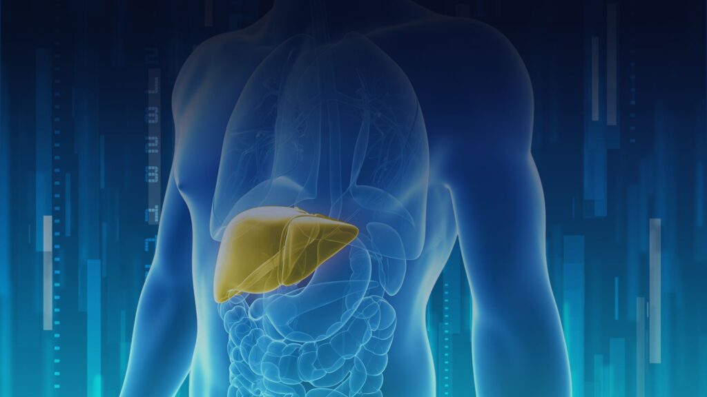 NAFLDsym depicts highlighted lungs and liver in a transparent torso, set against blue hues.