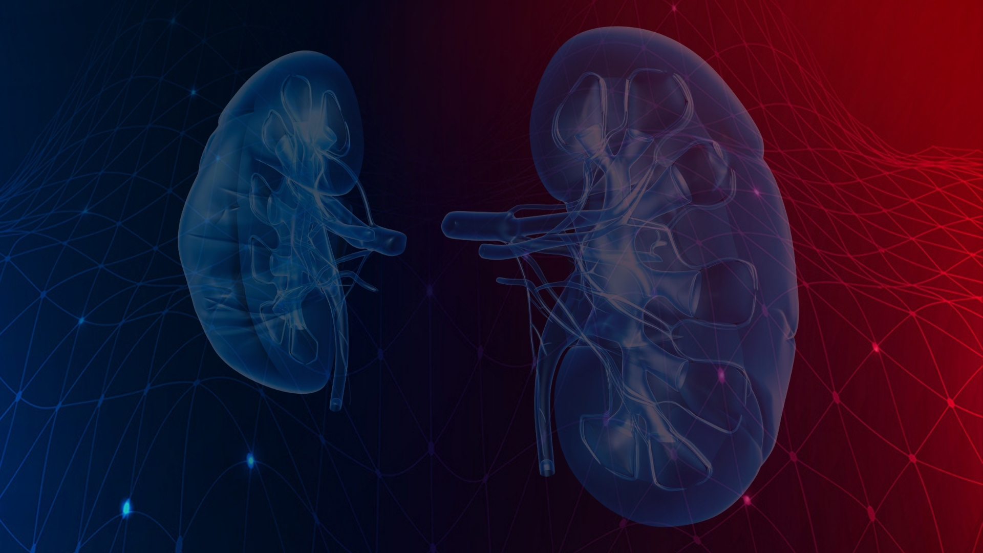 Advancing Kidney Safety: What’s New in RENAsym® 2A