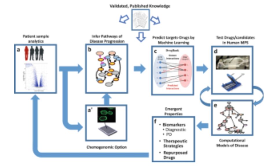 Harnessing Human Microphysiology Systems as Key Experimental Models for Quantitative Systems Pharmacology