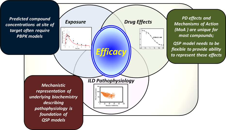 A Venn diagram links exposure, drug effects, and ILD pathophysiology with PBPK and QSP models.