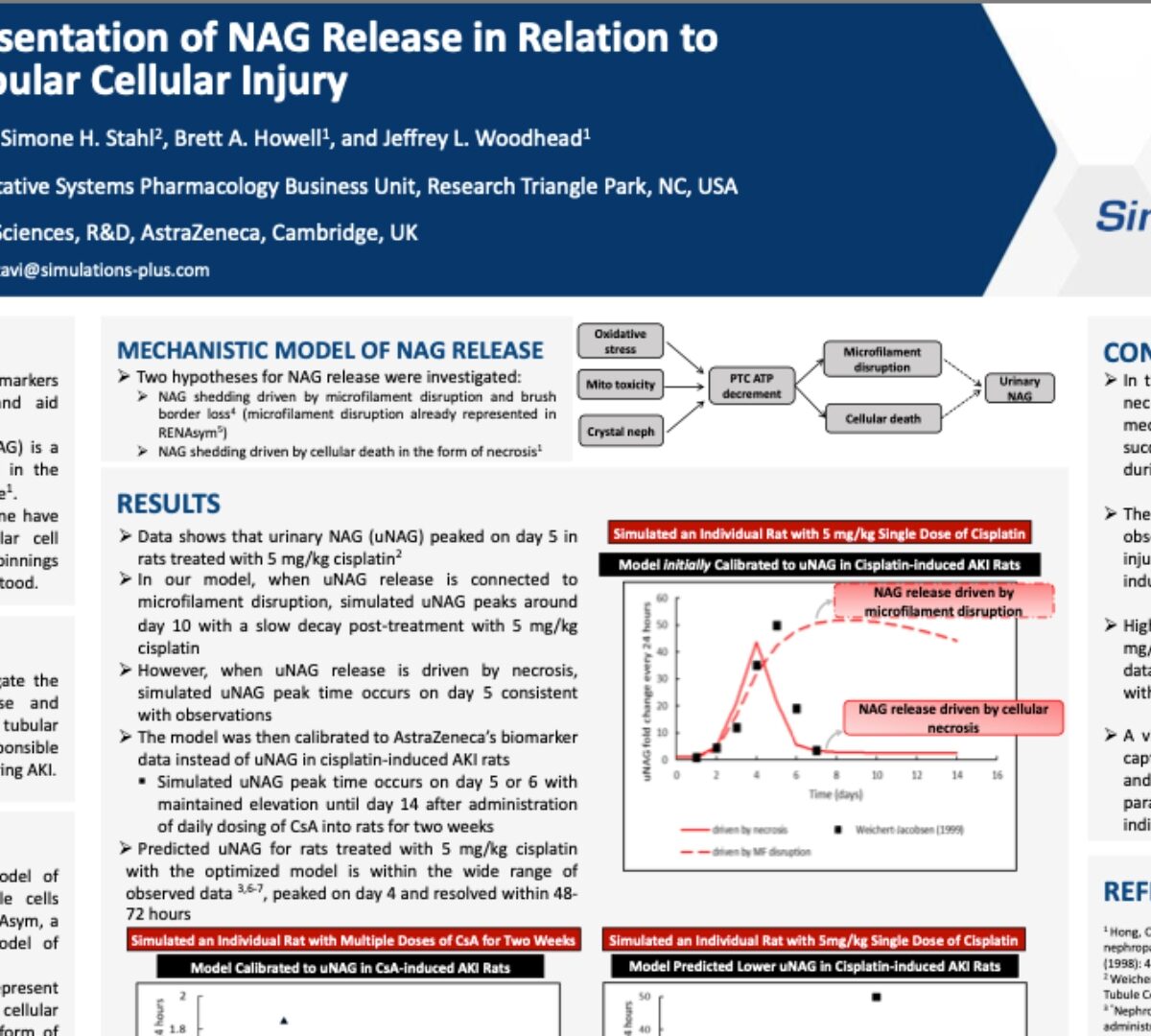 Mechanistic Representation of NAG Release in Relation to Renal Proximal Tubular Cellular Injury
