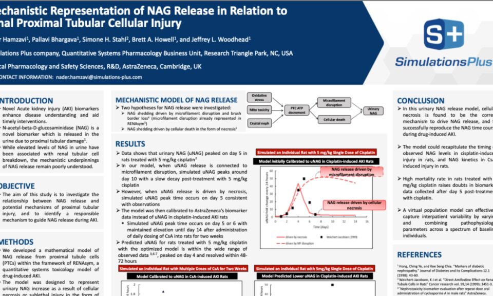 Mechanistic Representation of NAG Release in Relation to Renal Proximal Tubular Cellular Injury