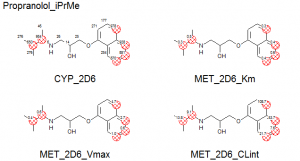 site specific kinetics of metabolic oxidation