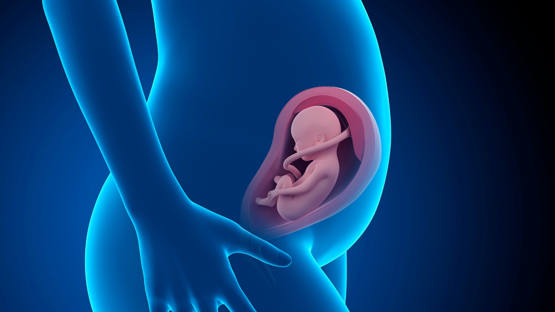 physiologically-based-pharmacokinetic-modelling-of-drugs-in-pregnancy