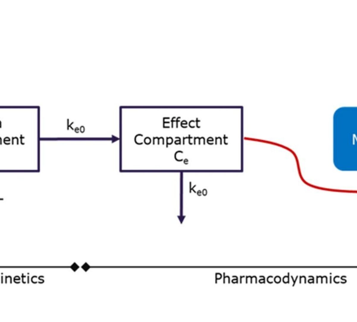 Preclinical Pharmacokinetics and Translational Pharmacokinetic/Pharmacodynamic Modeling of M8891, a Potent and Reversible Inhibitor of Methionine Aminopeptidase 2