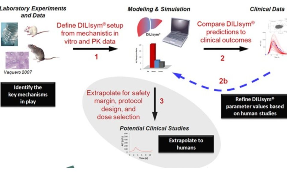 Prediction of Safety Margin and Optimization of Dosing Protocol for a Novel Antibiotic using Quantitative Systems Pharmacology Modeling