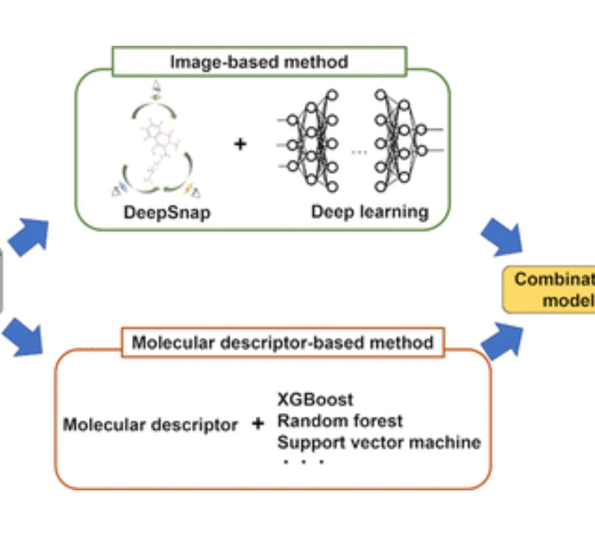 Predictive Models Based on Molecular Images and Molecular Descriptors for Drug Screening