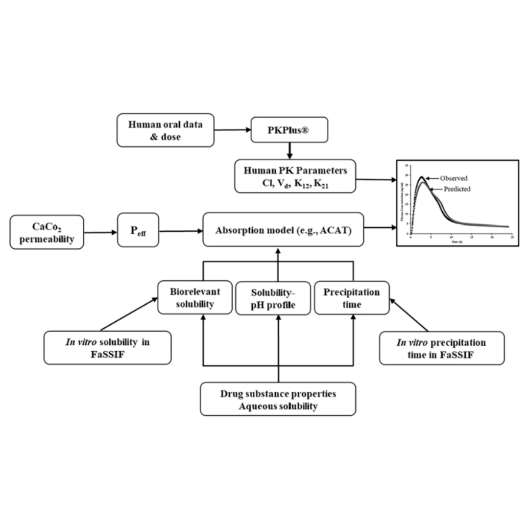 A Combined In-Vitro and GastroPlus® Modeling to Study the Effect of Intestinal Precipitation on Cinnarizine Plasma Profile in a Fasted State