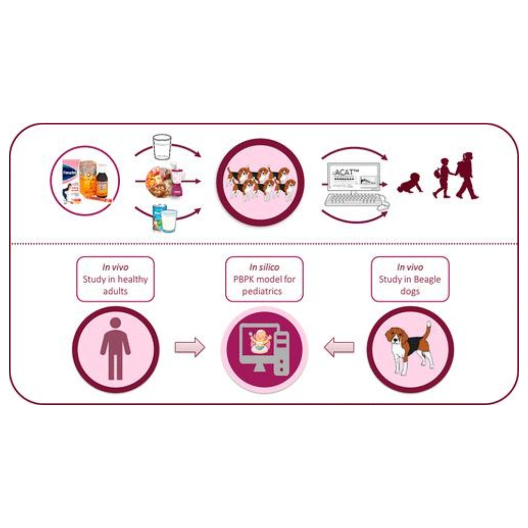 Usefulness of the Beagle Model in the Evaluation of Paracetamol and Ibuprofen Exposure after Oral Administration to Pediatric Populations: An Exploratory Study