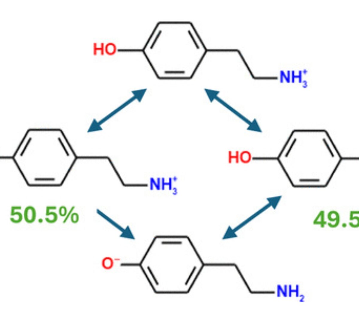 What, This “Base” Is Not a Base? Common Misconceptions about Aqueous Ionization That May Hinder Drug Discovery and Development