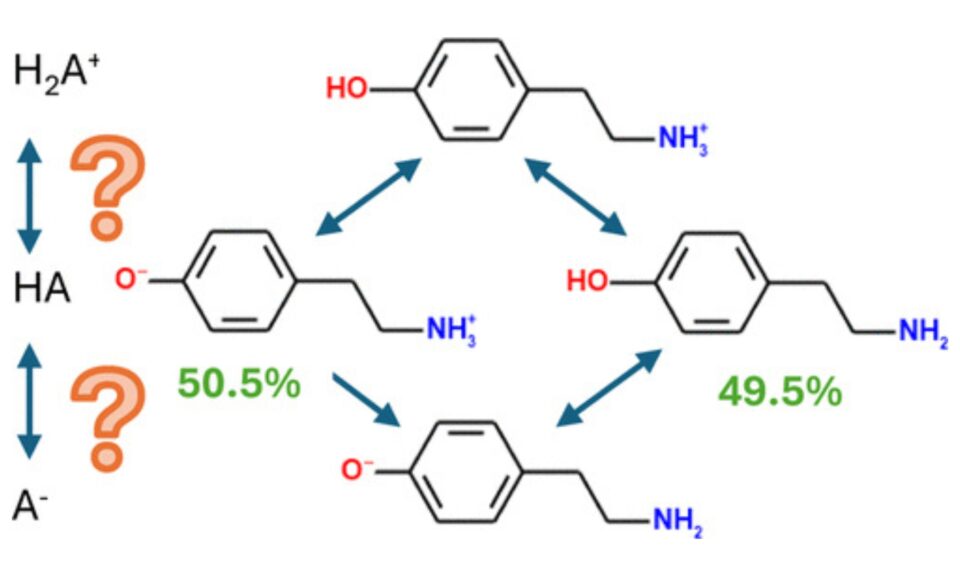 What, This “Base” Is Not a Base? Common Misconceptions about Aqueous Ionization That May Hinder Drug Discovery and Development