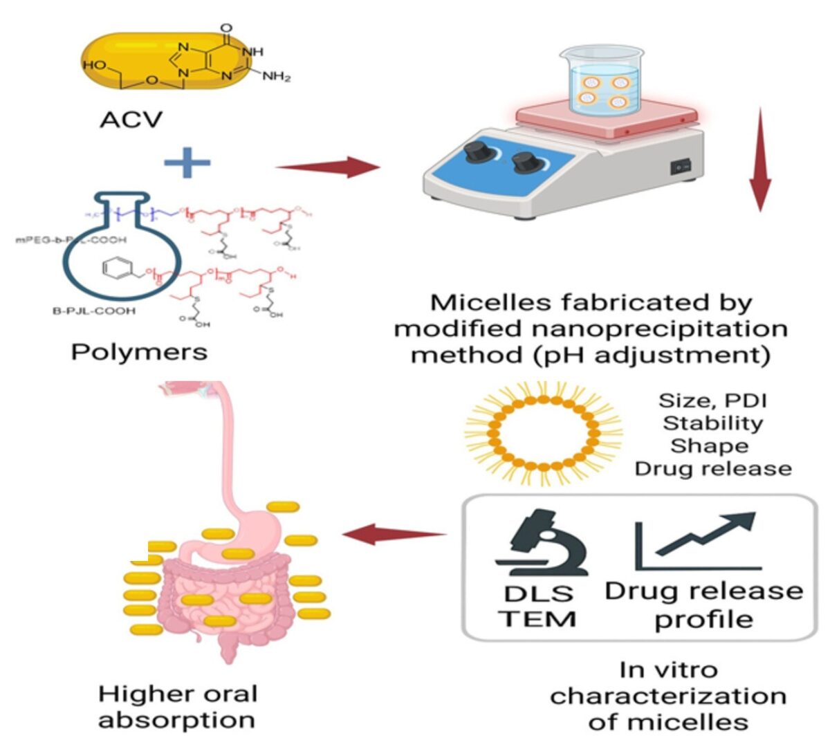 Formulation and Evaluation of Poly (Jasmine Lactone) Based Micelles for Improving the Oral Permeability of Acyclovir