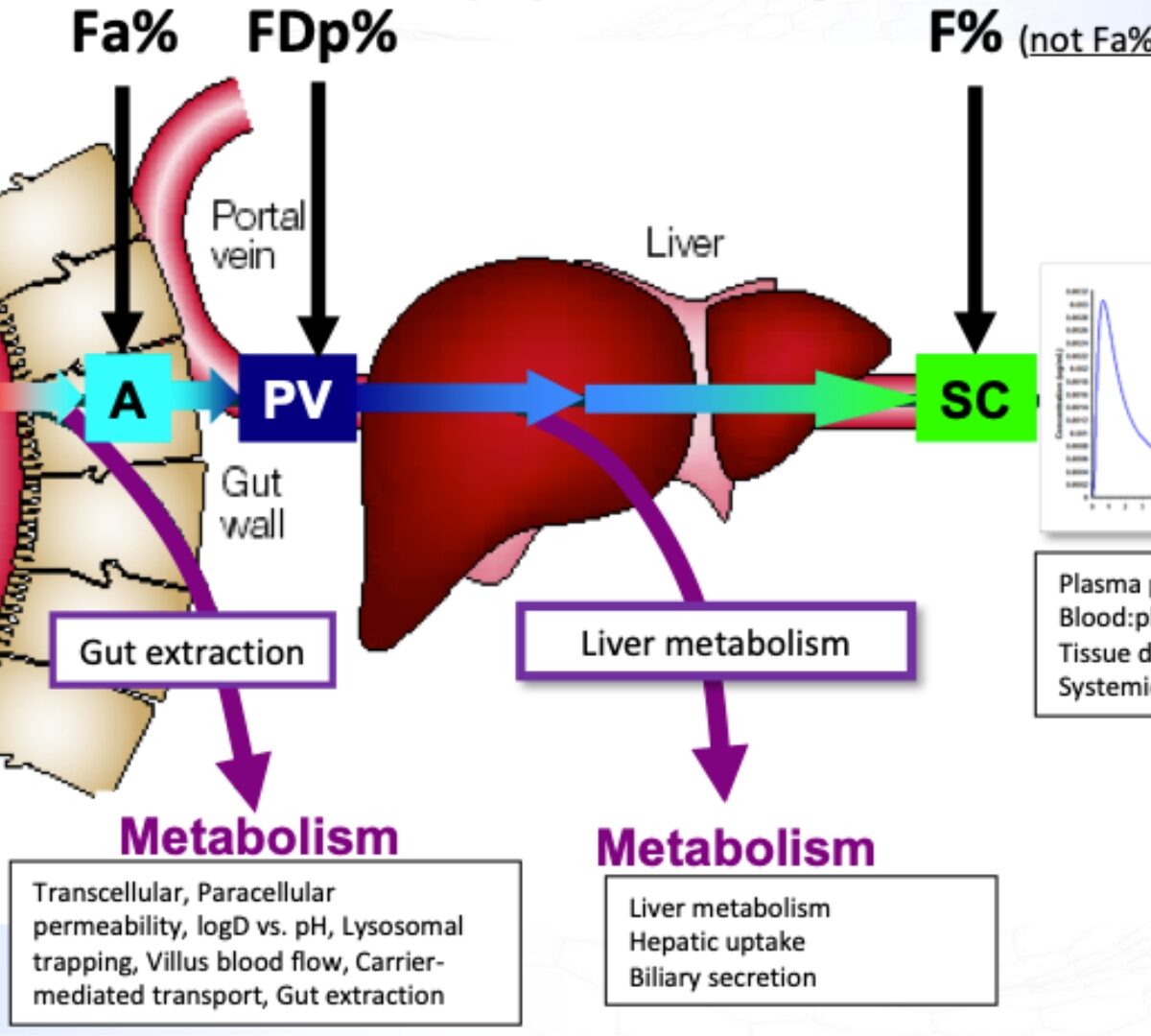 Basics of PBPK Modelling and Introduction to GastroPlus® X & its integration with AI