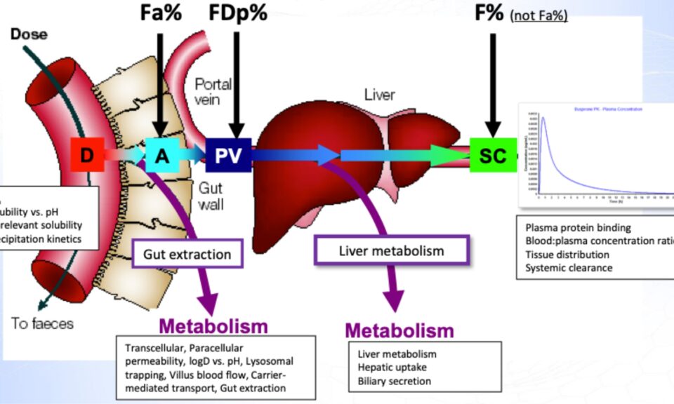 Basics of PBPK Modelling and Introduction to GastroPlus® X & its integration with AI