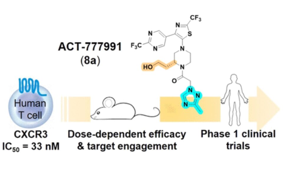 Discovery of Clinical Candidate ACT-777991, a Potent CXCR3 Antagonist for Antigen-Driven and Inflammatory Pathologies