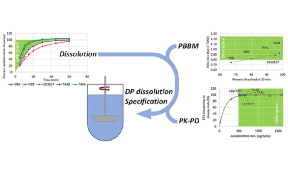 Acalabrutinib Maleate Tablets: The Physiologically Based Biopharmaceutics Model behind the Drug Product Dissolution Specification