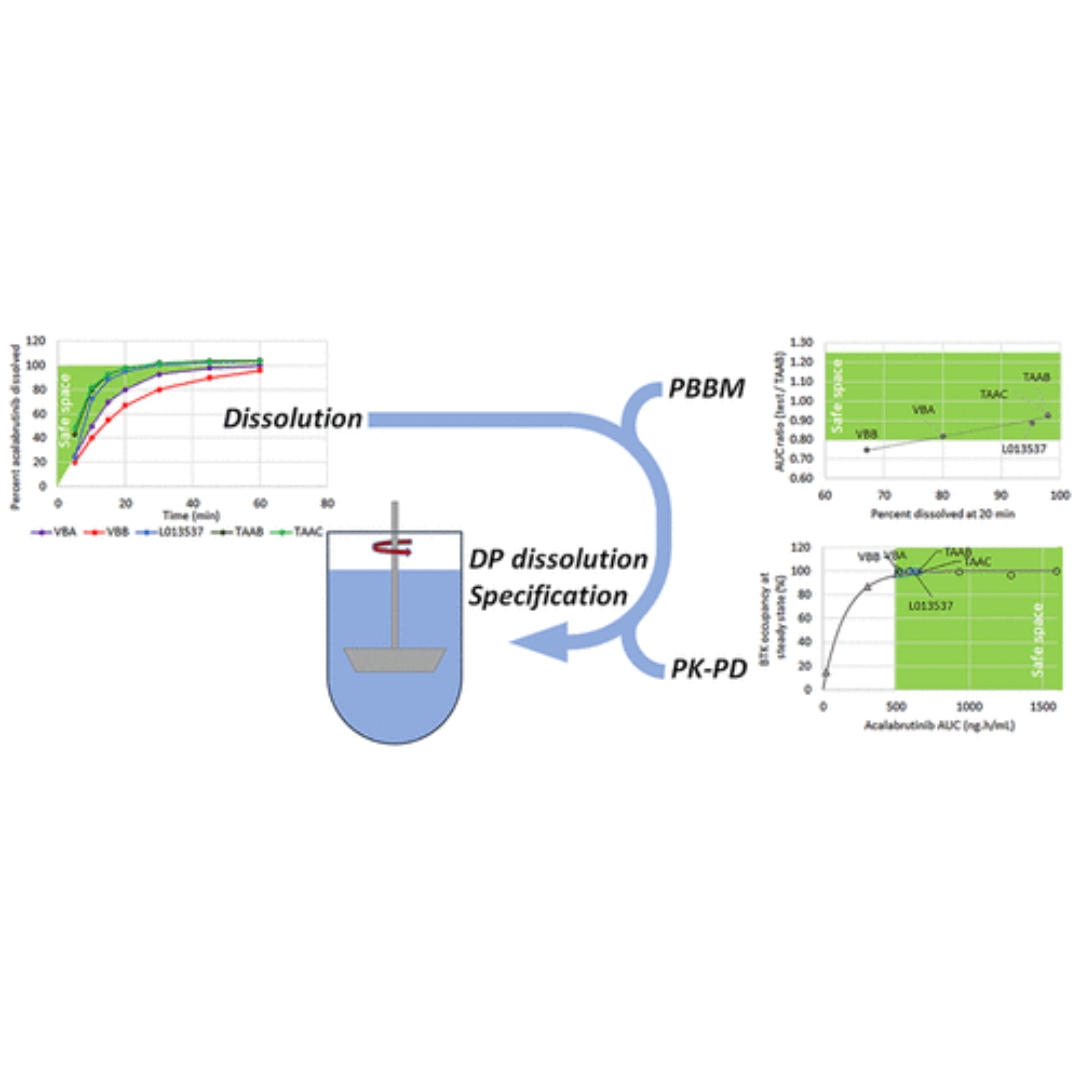 Acalabrutinib Maleate Tablets: The Physiologically Based Biopharmaceutics Model behind the Drug Product Dissolution Specification