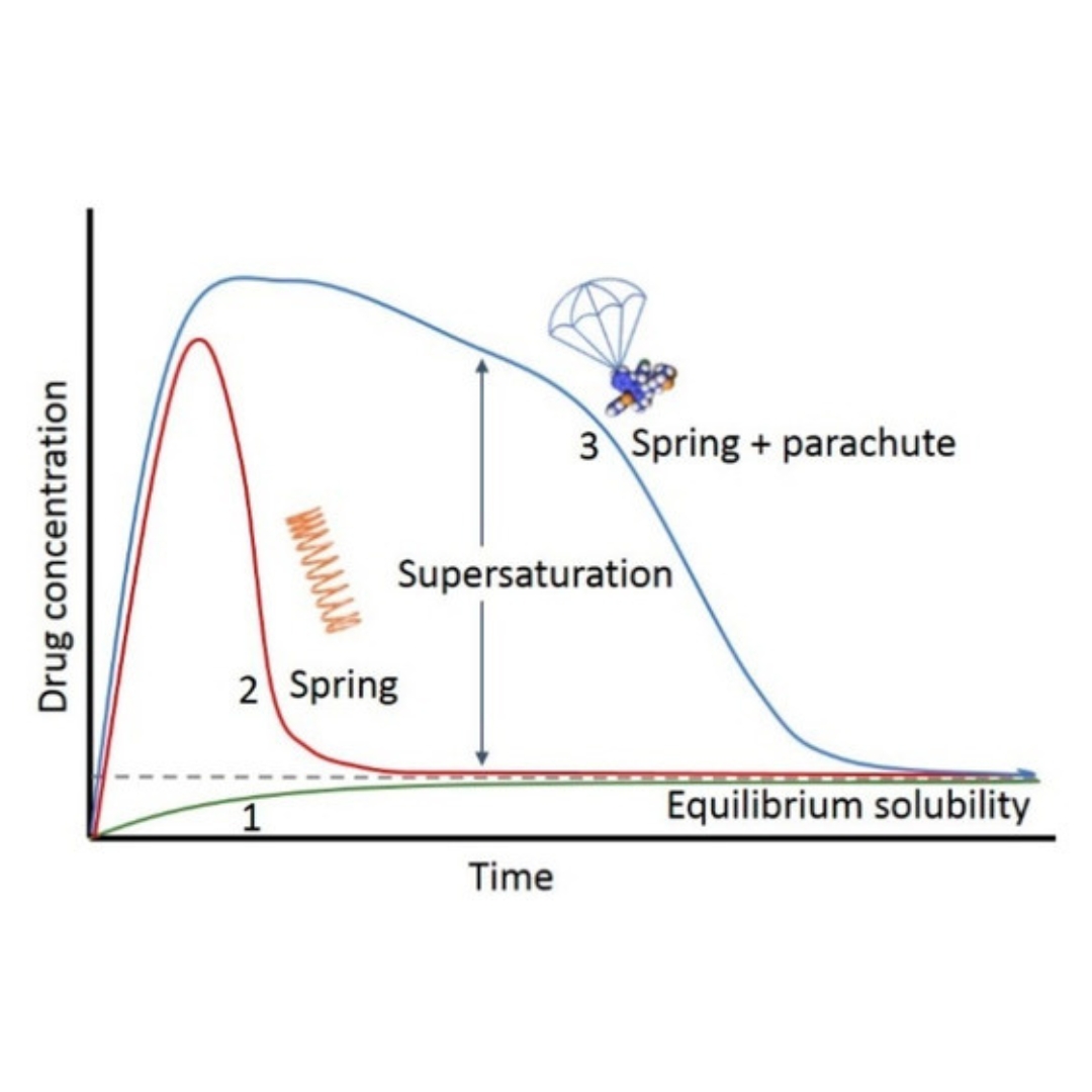 Supersaturation and Precipitation Applicated in Drug Delivery Systems: Development Strategies and Evaluation Approaches