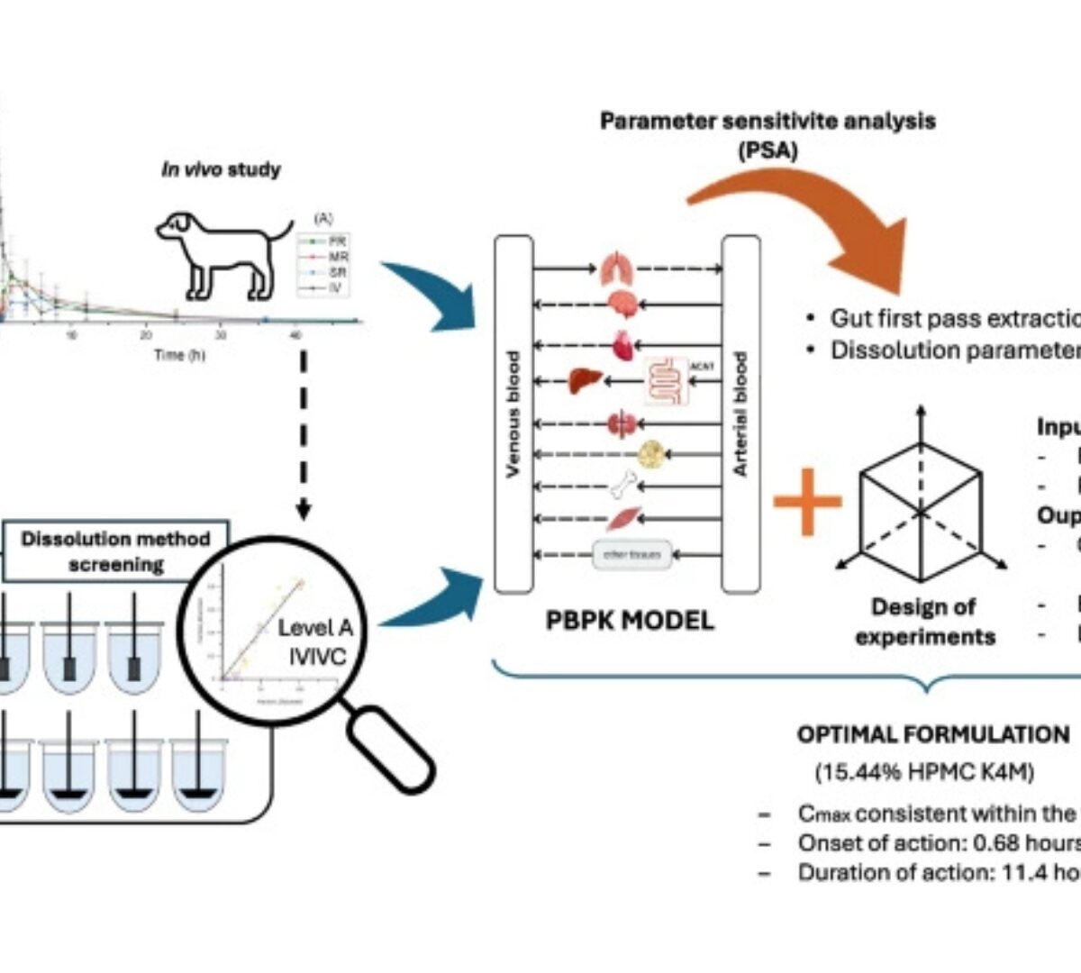 Optimizing Extended-release Formulation of l-tetrahydropalmatine Based on In Vivo Outcomes Using Integrated Modeling Approaches