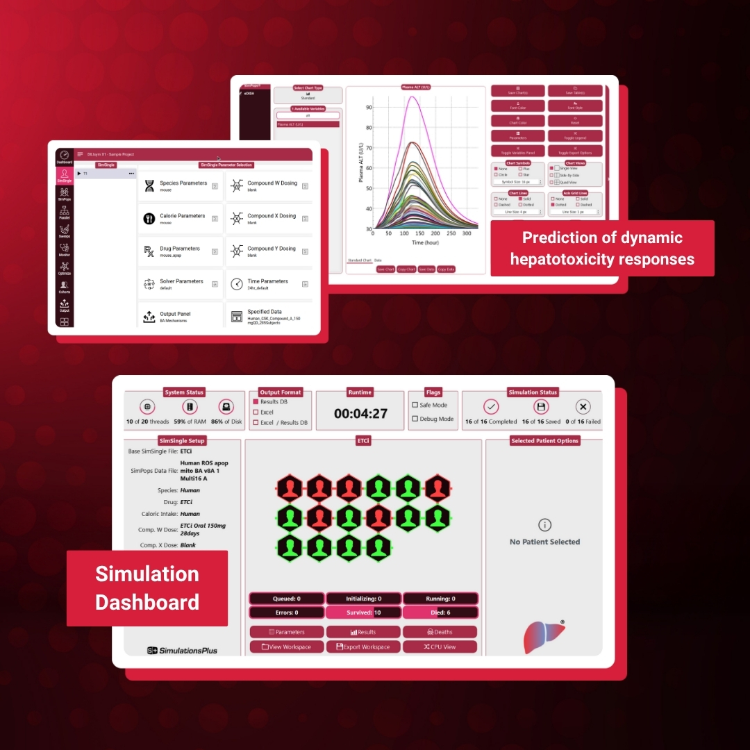 DILIsym® 11 Product Brochure
