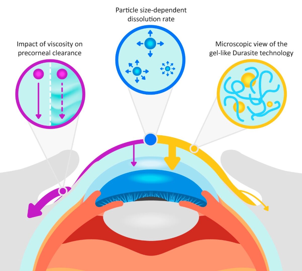 AI-Driven Knowledge Management in PBPK Modeling: Challenges & Opportunities