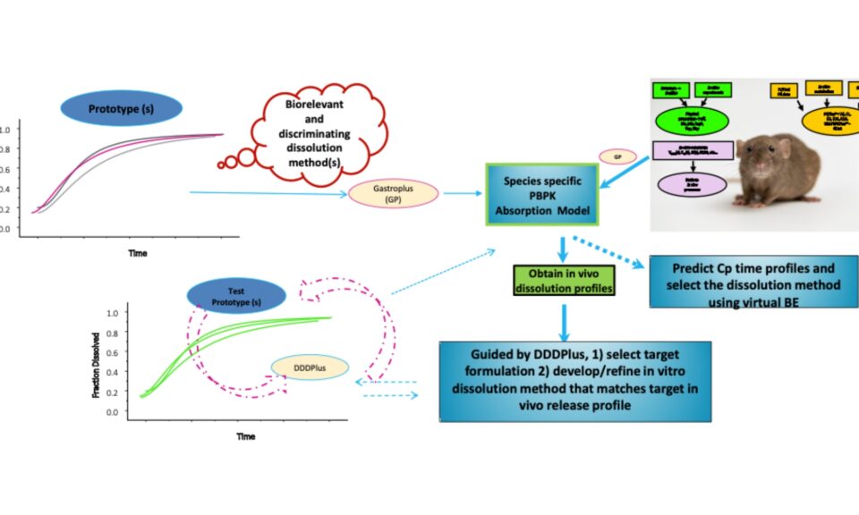 From Preclinical to Clinical Drug Product Development: A Path for Smooth Transition