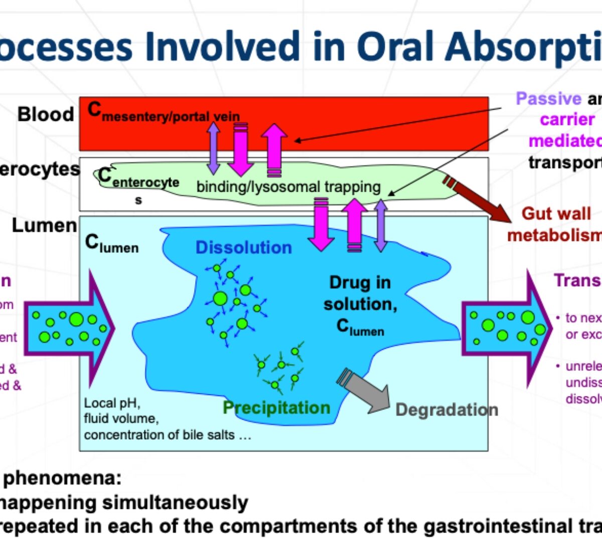 Absorption Predictions: Current Capabilities and Knowing the Gaps