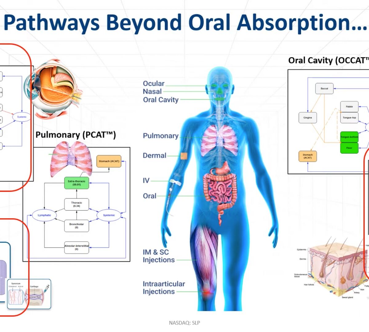 Complex Delivery Routes and Generics: The Next Frontier for PBBM/PBPK Modeling