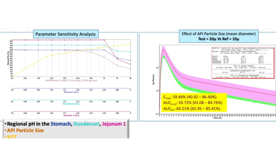 Data required to build a fit-for-purpose PBPK model: How much is necessary?
