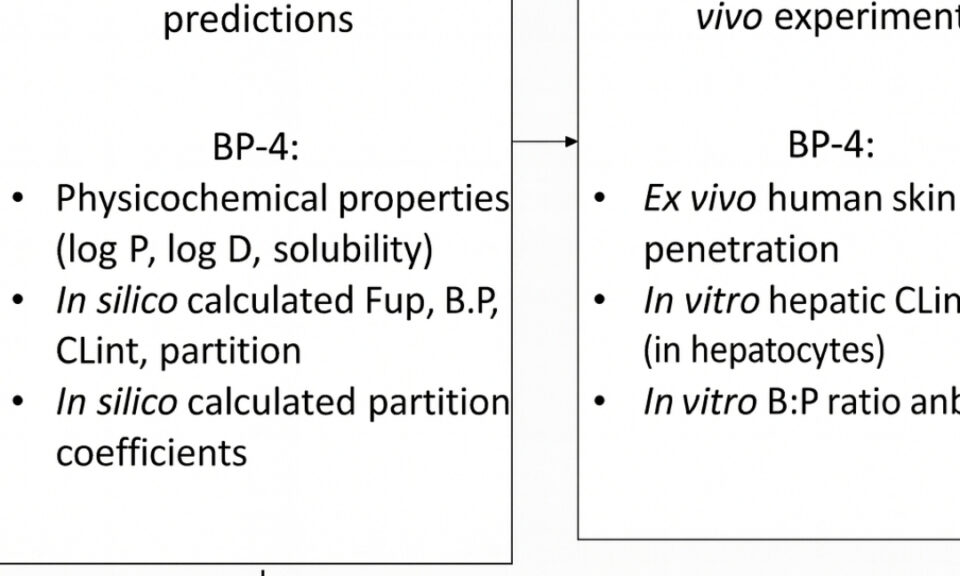 Building Confidence in PBK Model Predictions in the Absence of Human Kinetic Data: Benzophenone-4 Case Study