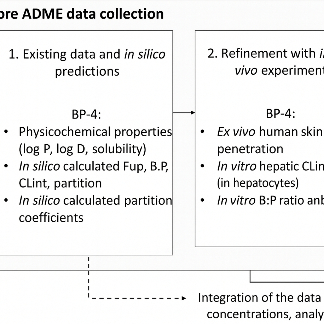 Building Confidence in PBK Model Predictions in the Absence of Human Kinetic Data: Benzophenone-4 Case Study