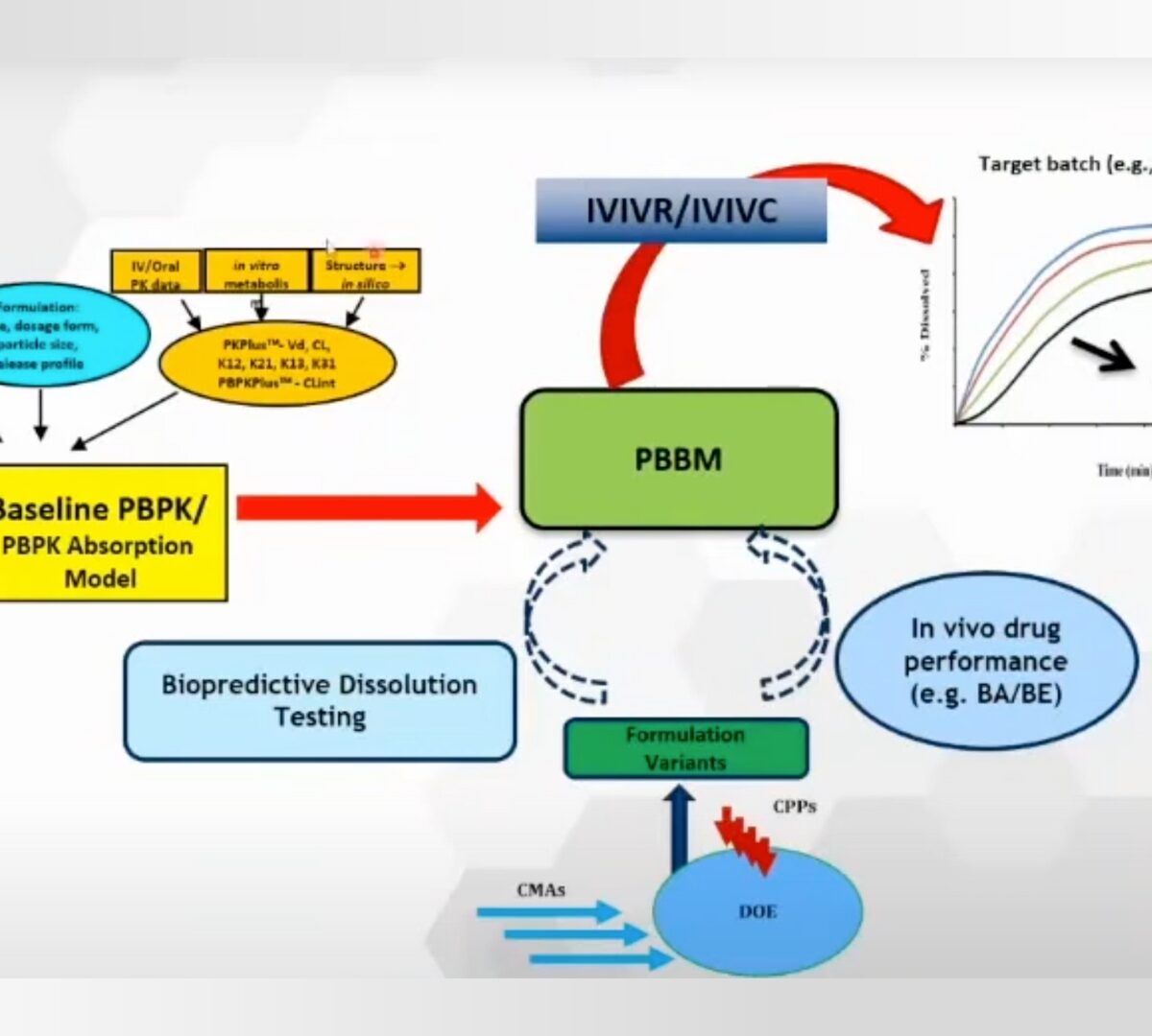 Regulatory Roundtable: Development and validation of PBBM/safe space from the regulatory perspective, a panel discussion