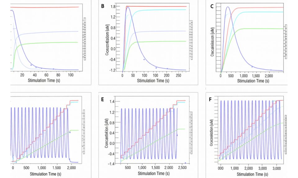 Development of a Physiologically Based Pharmacokinetic Model for Raltegravir and Prediction of its Interactions with Rifampicin