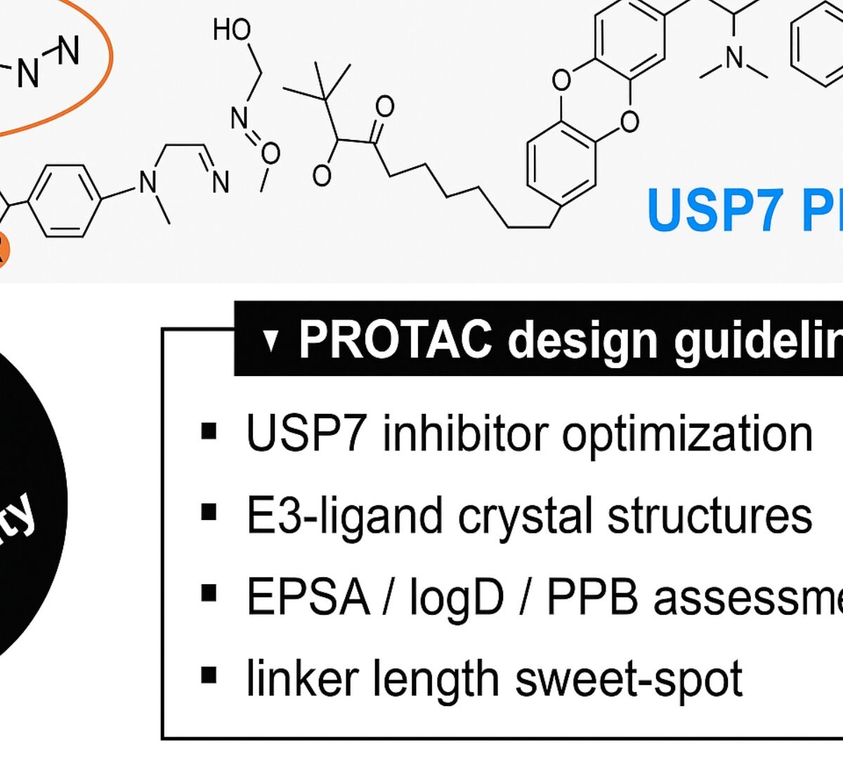 Enhancing Solubility in VHL-Based PROTACs: Optimized USP7 Degraders for Improved Developability