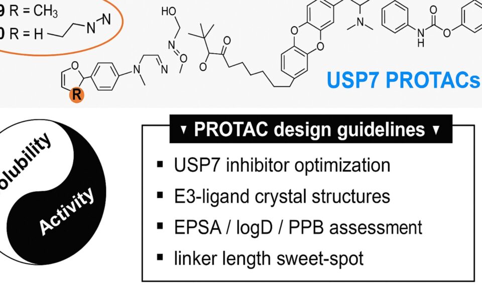 Enhancing Solubility in VHL-Based PROTACs: Optimized USP7 Degraders for Improved Developability