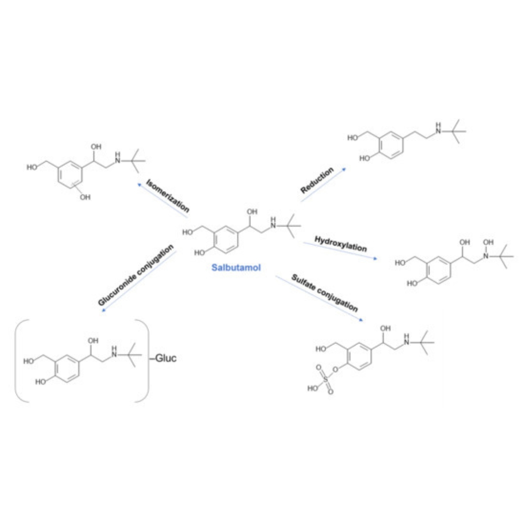 Prediction of CYP-Mediated Drug Interaction Using Physiologically Based Pharmacokinetic Modeling: A Case Study of Salbutamol and Fluvoxamine