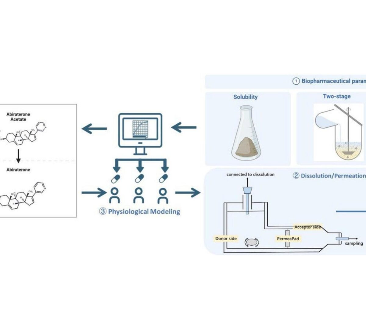 Establishing Clinically Relevant Dissolution Specifications for Prodrug Bioequivalence Risk Assessment: Integration of a Dissolution/Permeation System with Physiologically Based Biopharmaceutics Modeling in Abiraterone Acetate