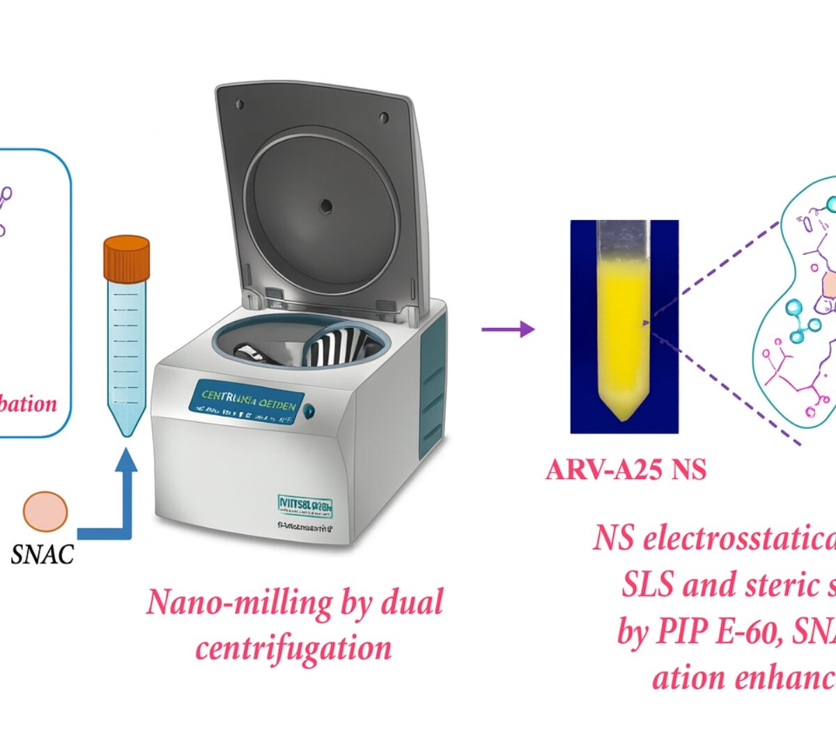 Permeability Enhancer Incorporated Oral Nanosuspension of ARV-825 PROTAC for Glioblastoma Treatment