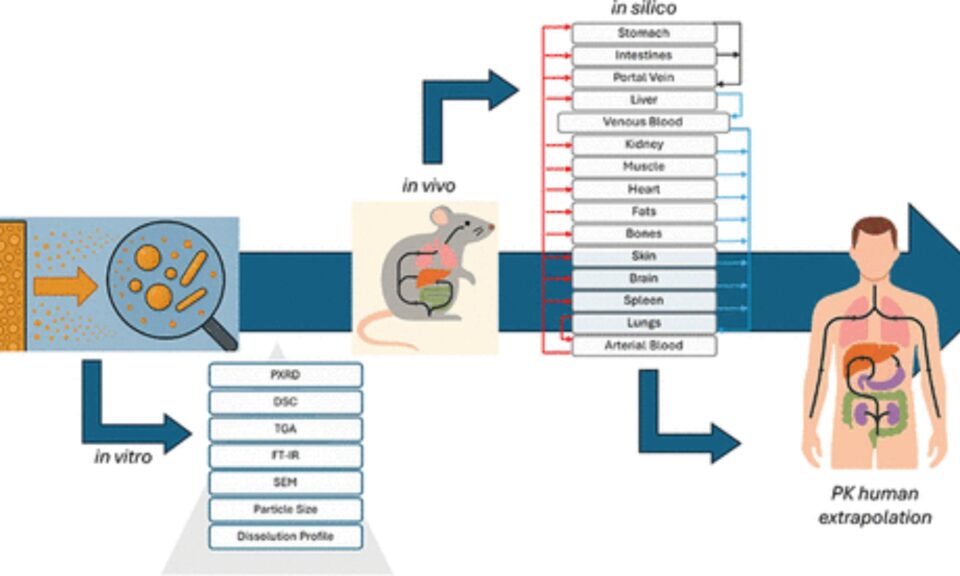 Physiologically Based Pharmacokinetic Modeling of Efavirenz Nanoparticles: from Animal Model to Human Extrapolation