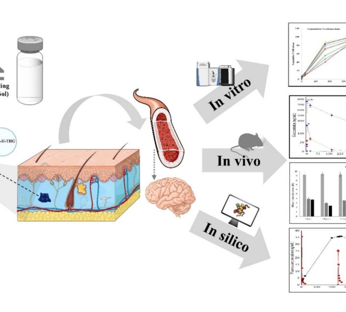 In vitro, in vivo and in silico Assessment of Bioresorbable PLGA-PEG-PLGA Based Thermosensitive Hydrogel Mediated 30-days Delivery of Lurasidone HCl for Schizophrenia