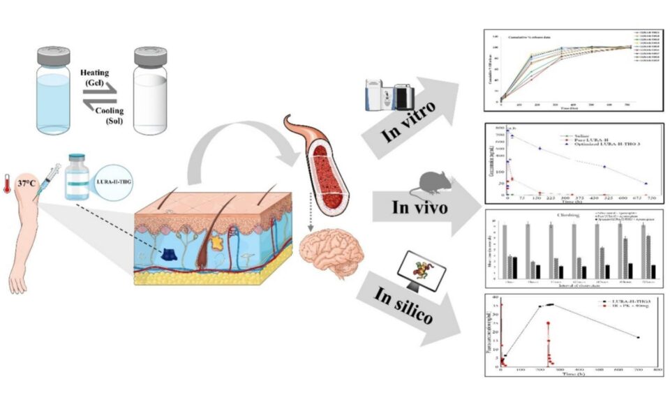 In vitro, in vivo and in silico Assessment of Bioresorbable PLGA-PEG-PLGA Based Thermosensitive Hydrogel Mediated 30-days Delivery of Lurasidone HCl for Schizophrenia