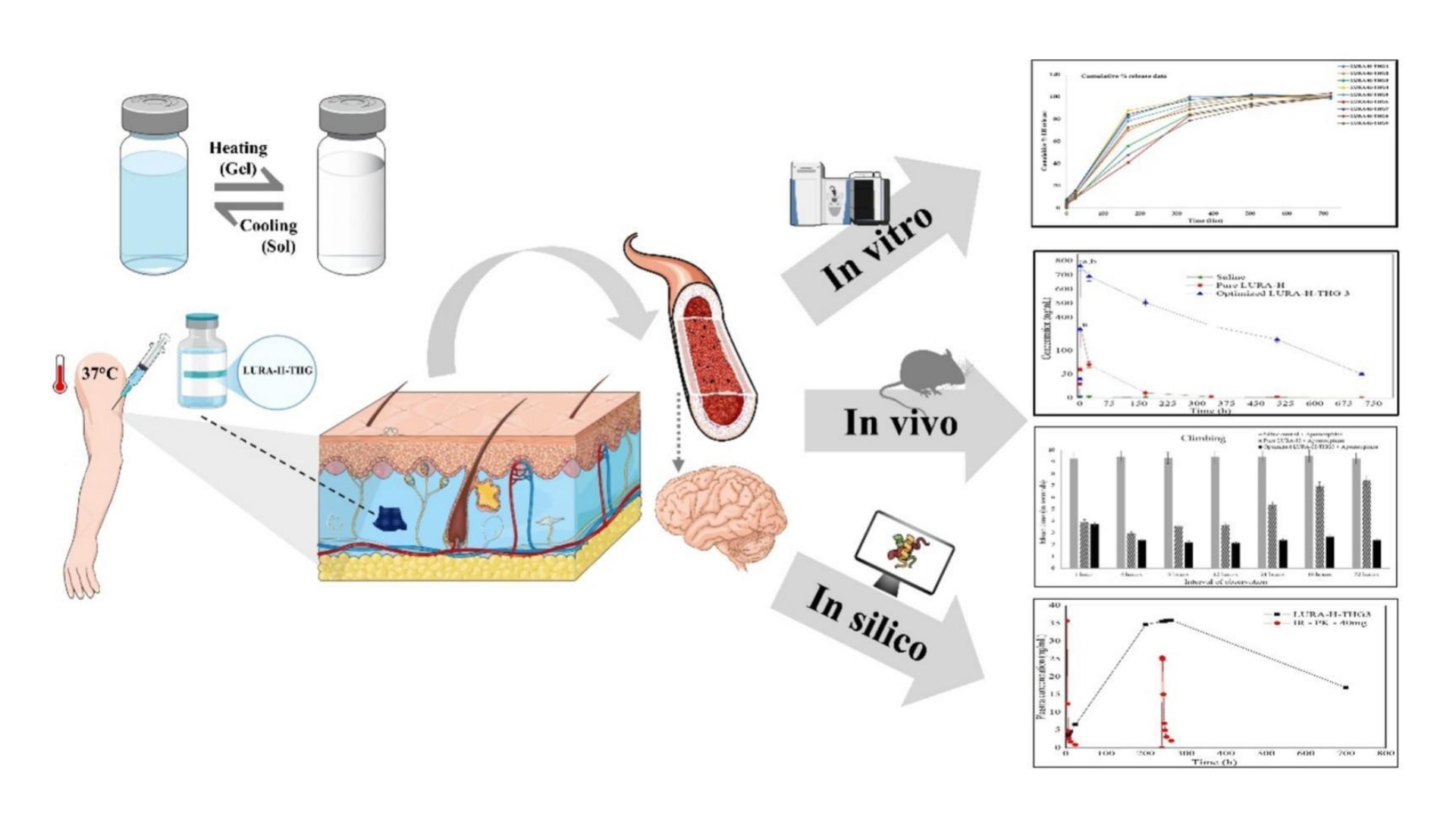 In vitro, in vivo and in silico Assessment of Bioresorbable PLGA-PEG ...